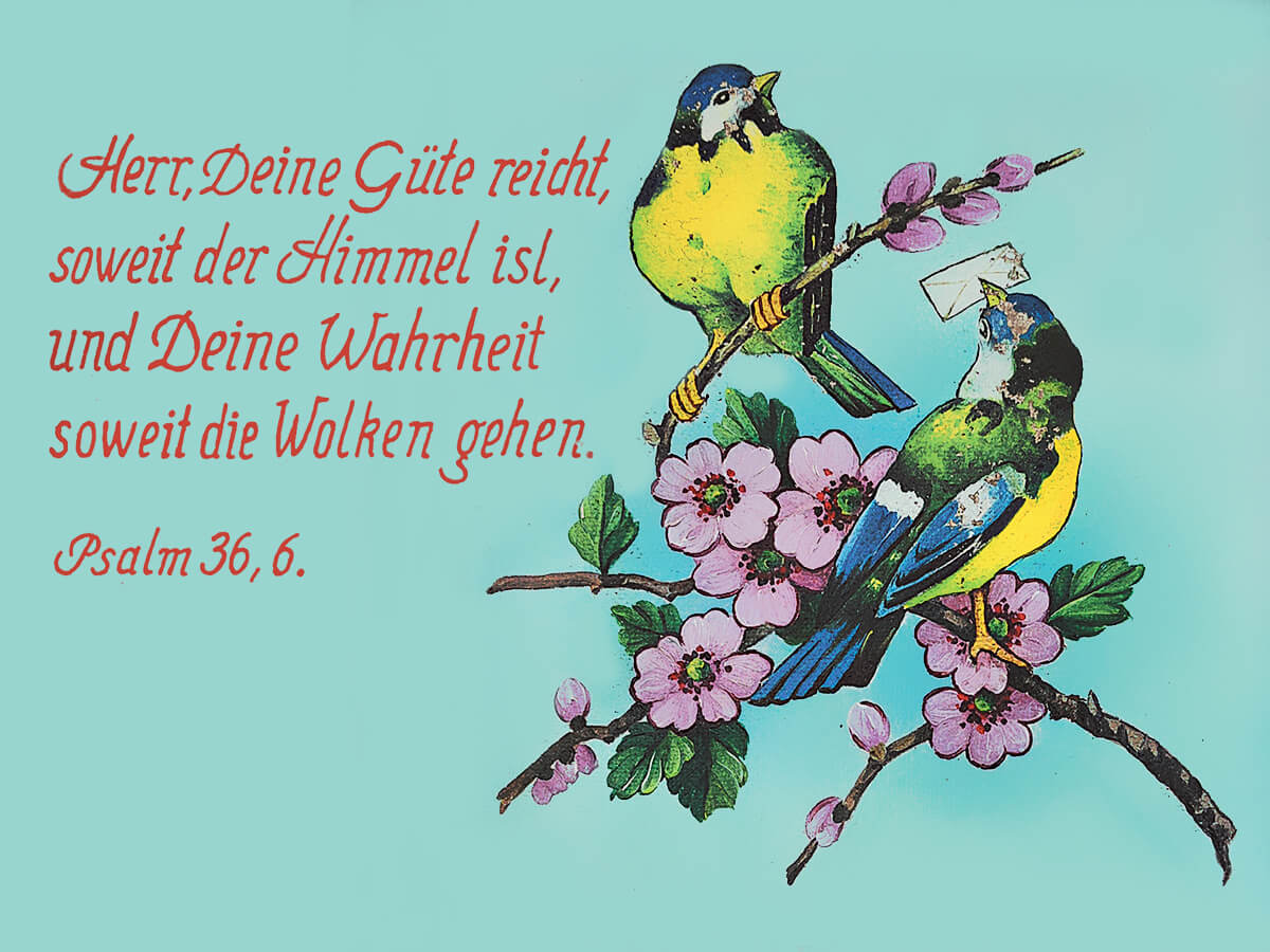 «Herr, Deine Güte reicht, soweit der Himmel ist, und Deine Wahrheit soweit die Wolken gehen. Psalm 36,6»